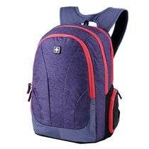 Рюкзак SWISSWIN SWBJ001 Purple